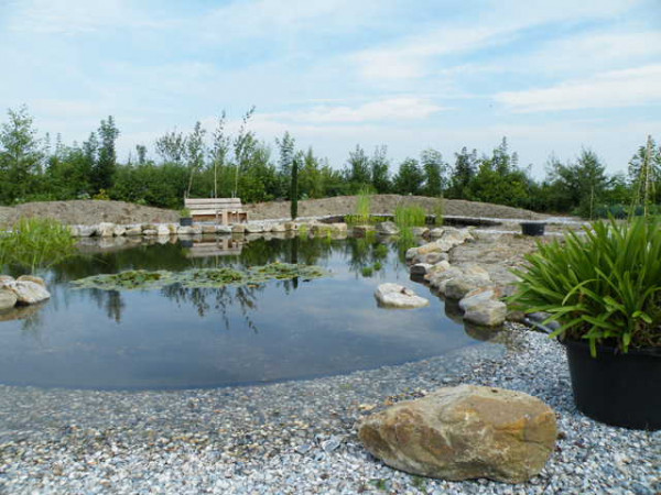 Natuurlijke vijvers
